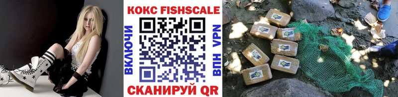 купить закладку  Альметьевск  COCAIN 98% 