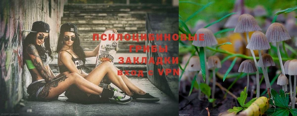 Альфа ПВП Абаза